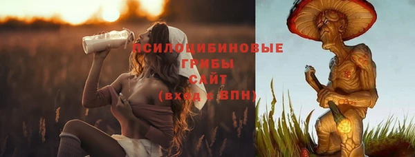 спайс Абинск