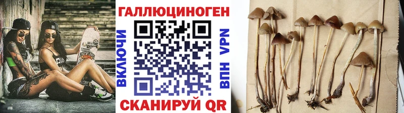 Галлюциногенные грибы GOLDEN TEACHER  где найти   Полярный 